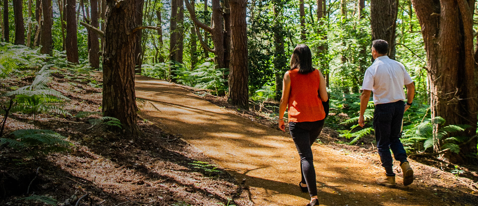 Mindenhurst - Homepage Banner