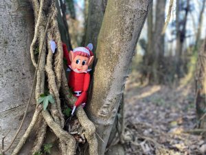 Christmas Elves in the Central SANG